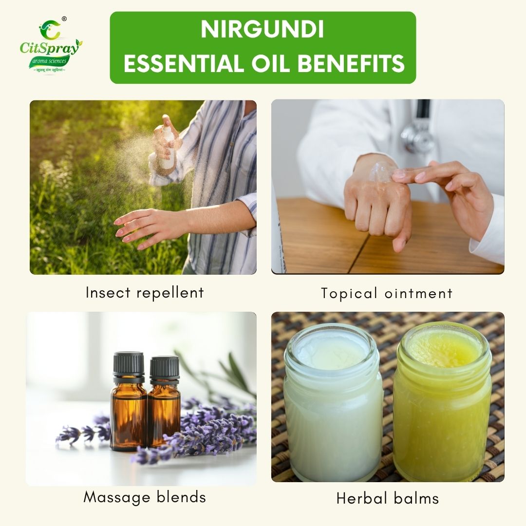 Nirgundi Essential Oil – Joint Support