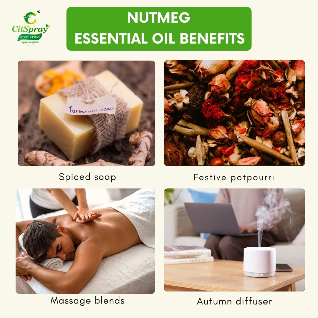 Nutmeg Essential Oil – Digestive Support