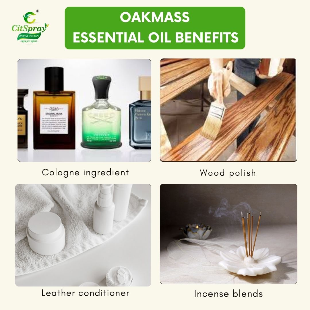 Oakmass Essential Oil – Grounding Aroma