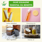 Olive squalene Essential Oil – Hydrating Skin