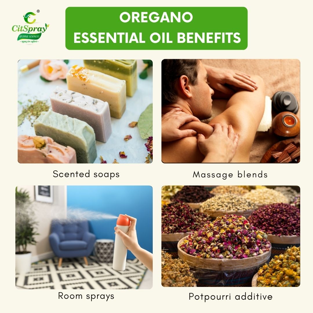 Oregano Essential Oil – Immune Support