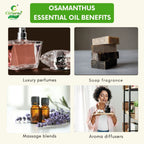 Osamanthus Essential Oil – Joyful Aroma