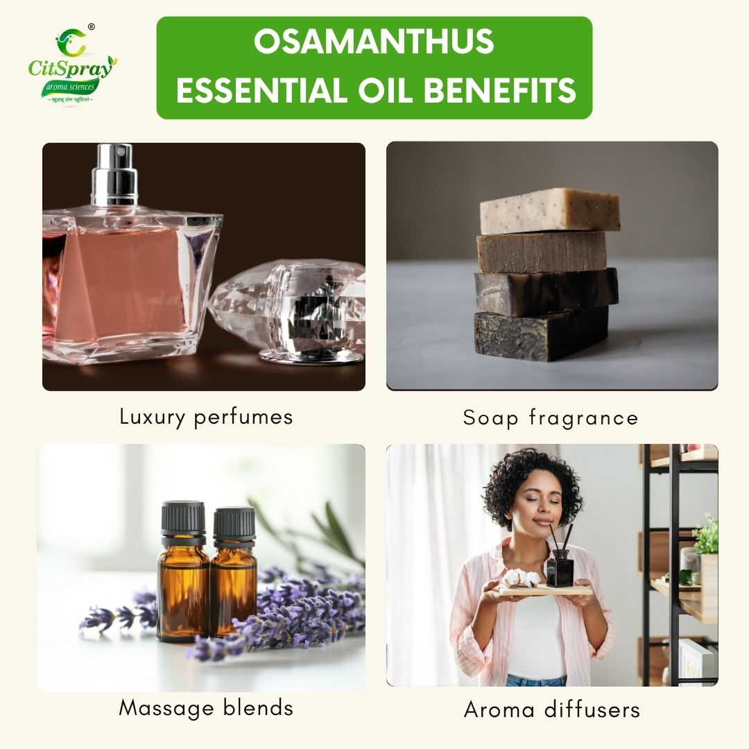 Osamanthus Essential Oil – Joyful Aroma