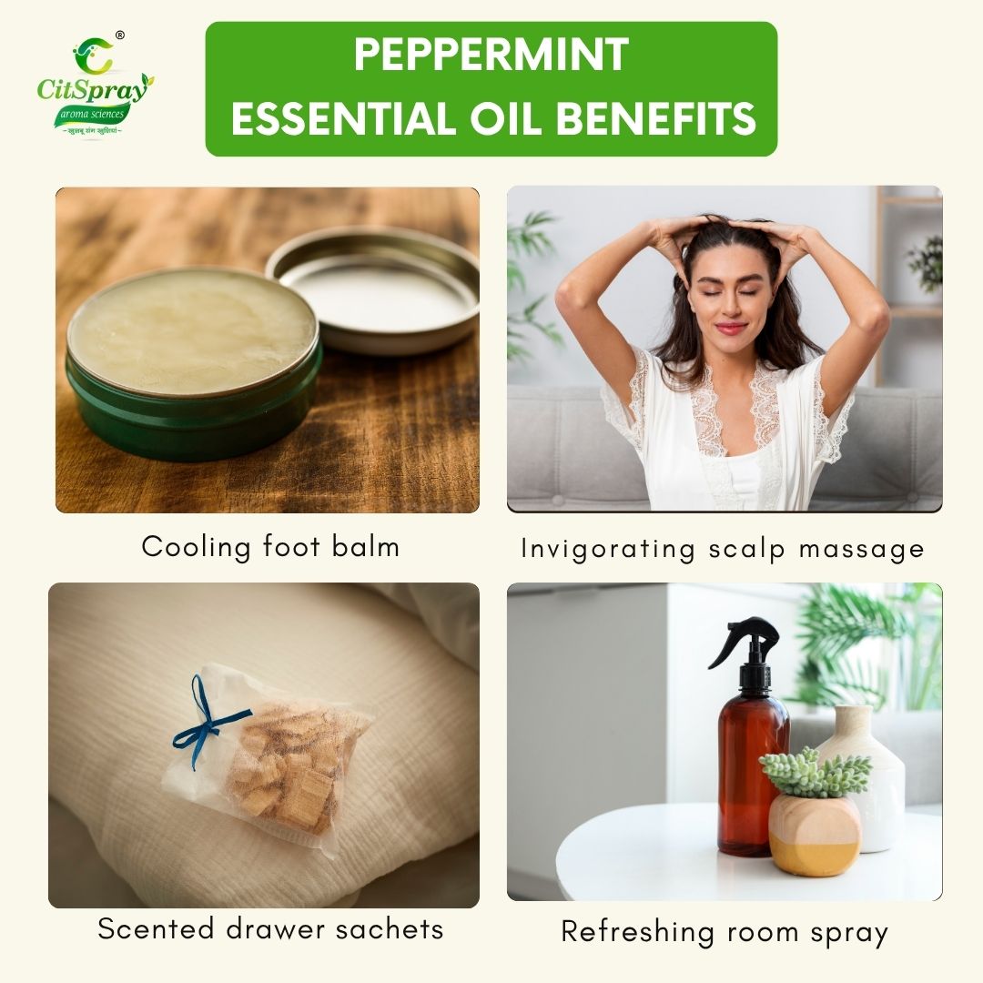 Peppermint Essential Oil – Invigorating