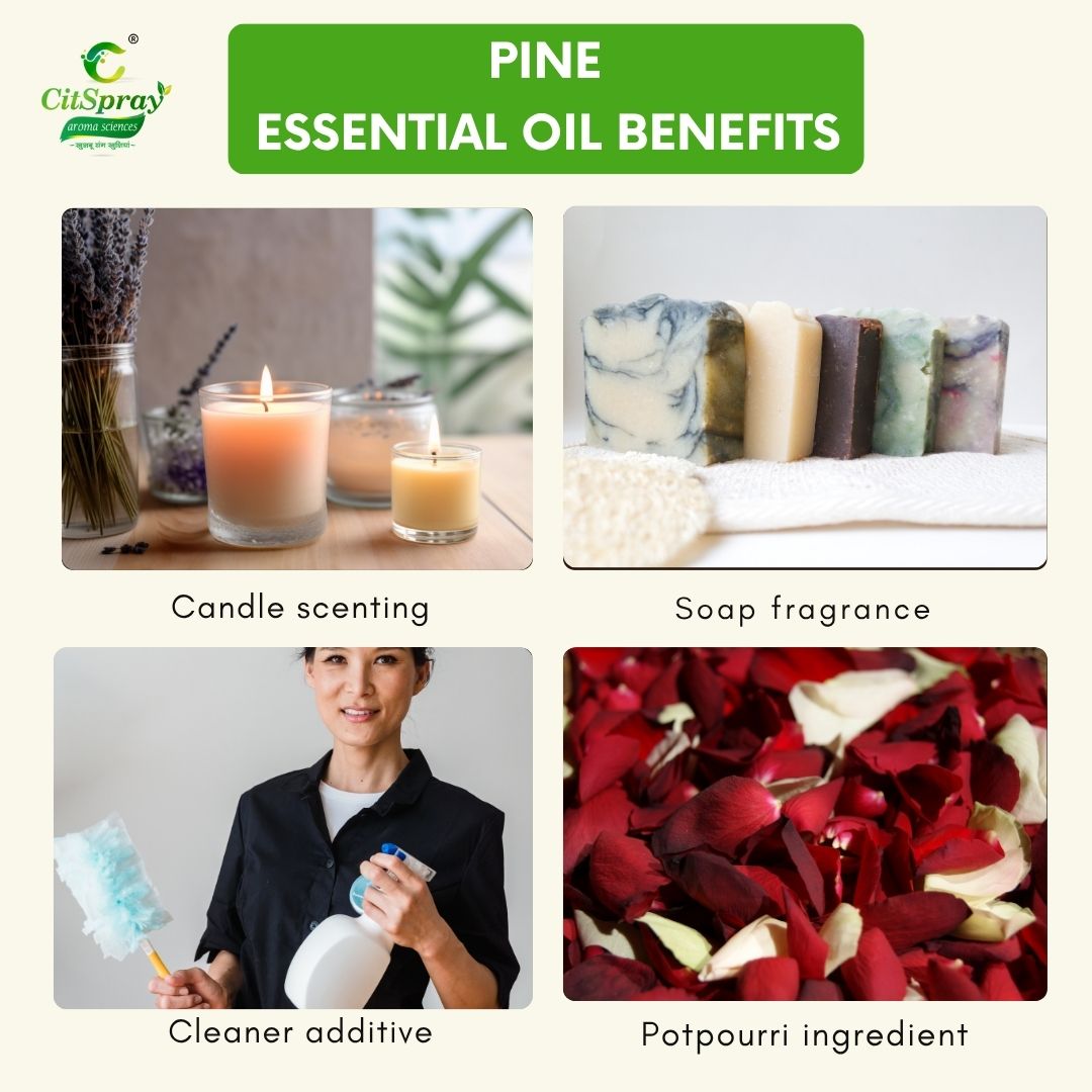 Pine Essential Oil – Invigorating