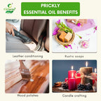 Prickly Essential Oil – Invigorating