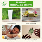 Primrose Essential Oil – Radiant Skin