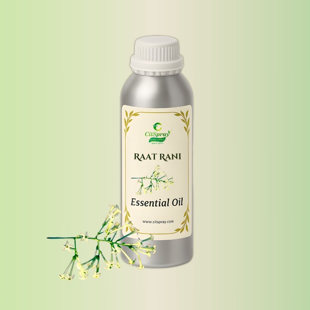 Raat Rani Essential Oil in aluminum CitSpray bottle. Night-blooming jasmine oil.
