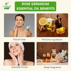 Rose Geranium Essential Oil – Balancing