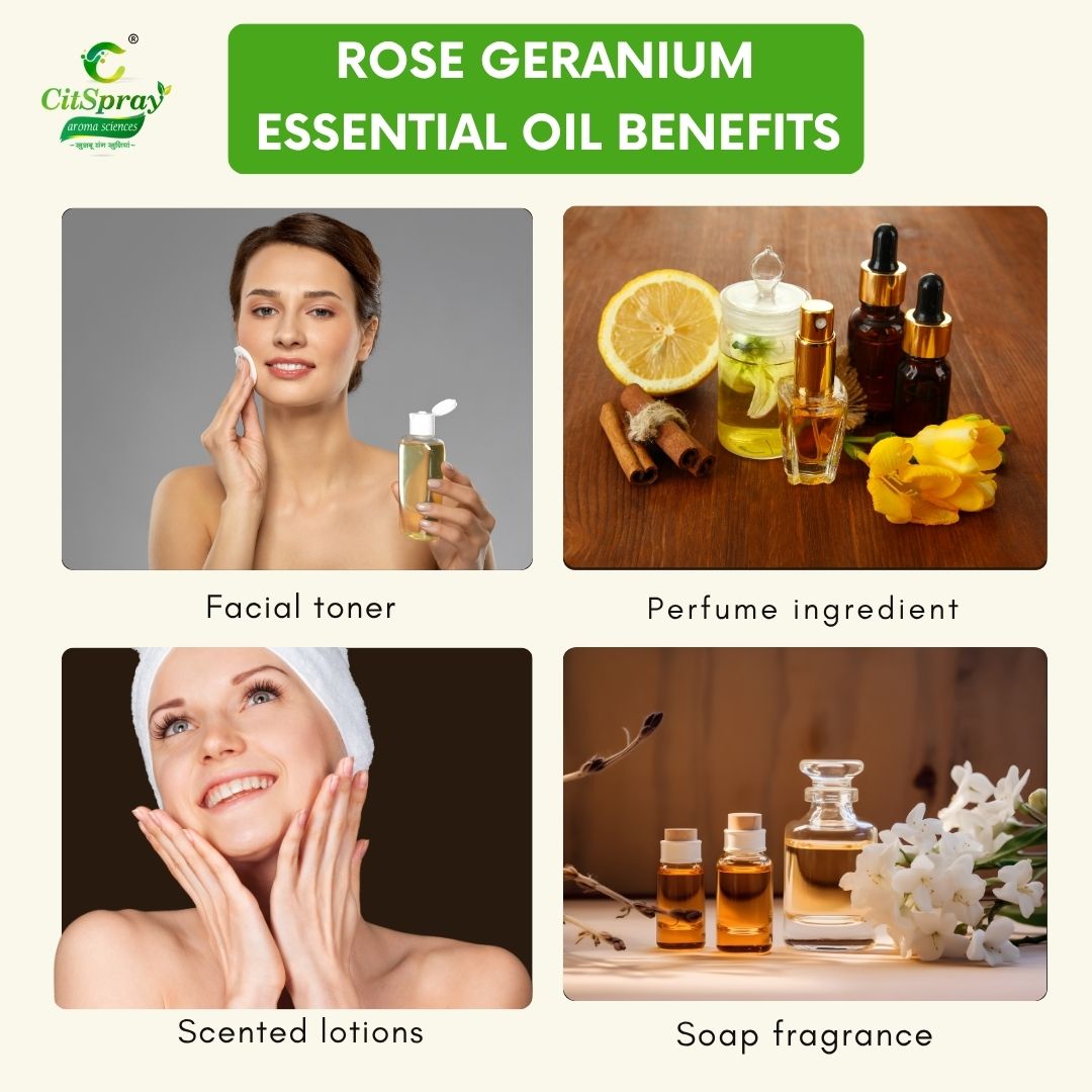 Rose Geranium Essential Oil – Balancing