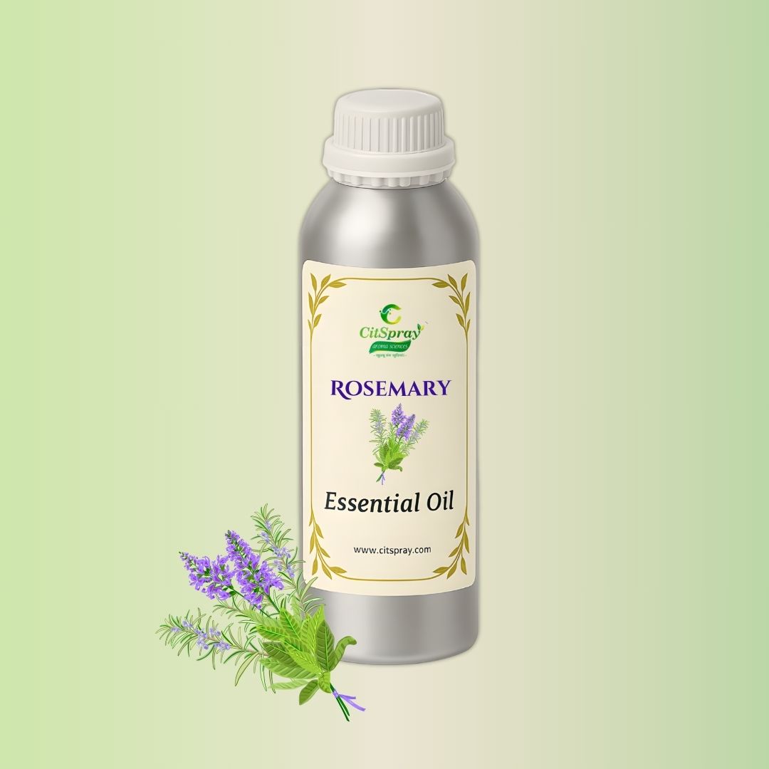 Rosemary Essential Oil by CitSpray in aluminium bottle. Rosemary extract.