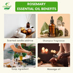 Rosemary Essential Oil – Memory Boost