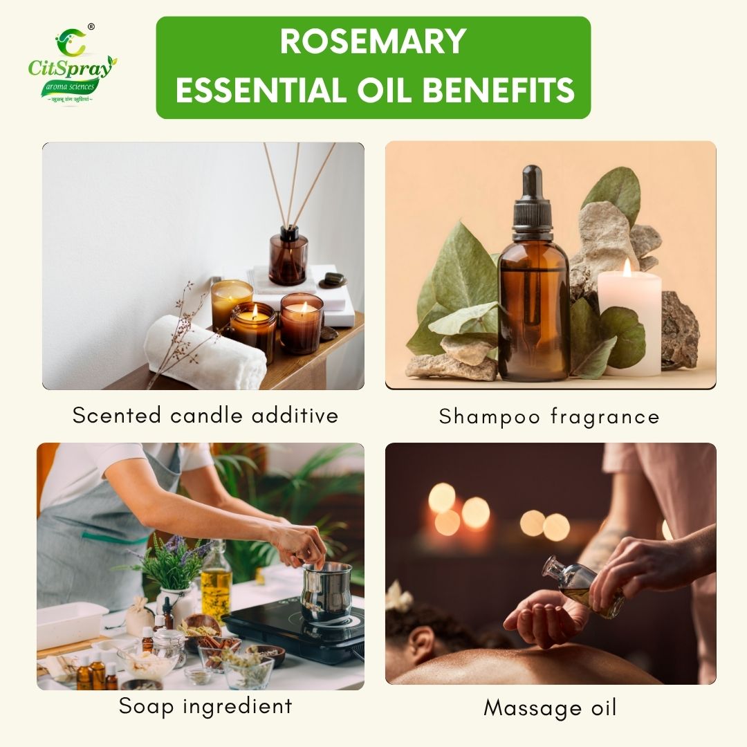 Rosemary Essential Oil – Memory Boost