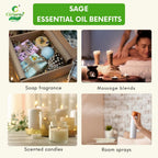 Sage Essential Oil – Mental Clarity