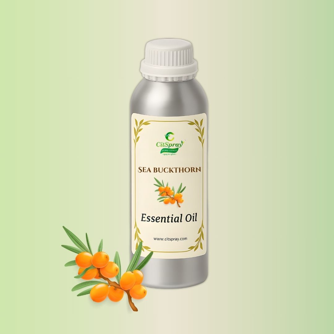 Sea Buckthorn Essential Oil in CitSpray aluminum bottle. Skin & hair care.