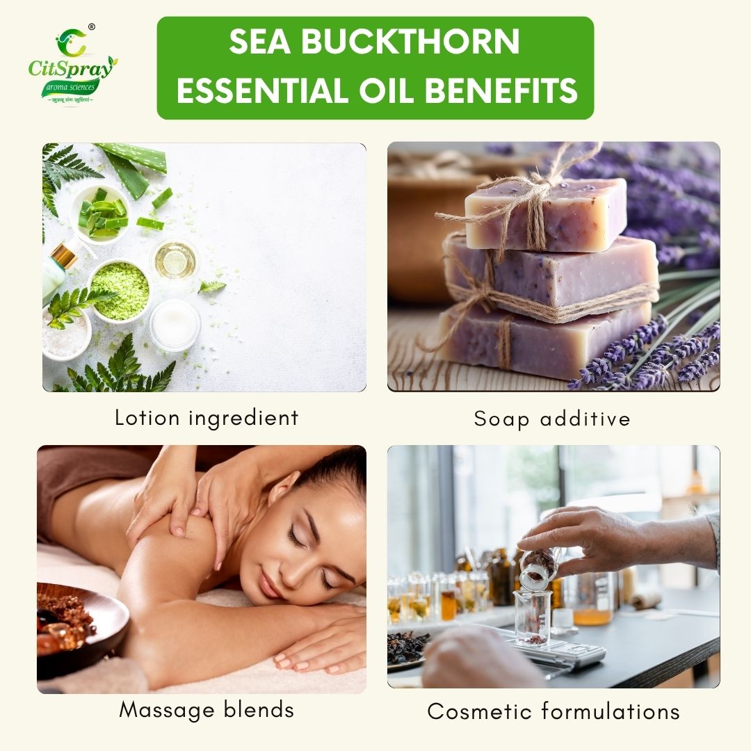 Sea buckthorn Essential Oil – Skin Healing