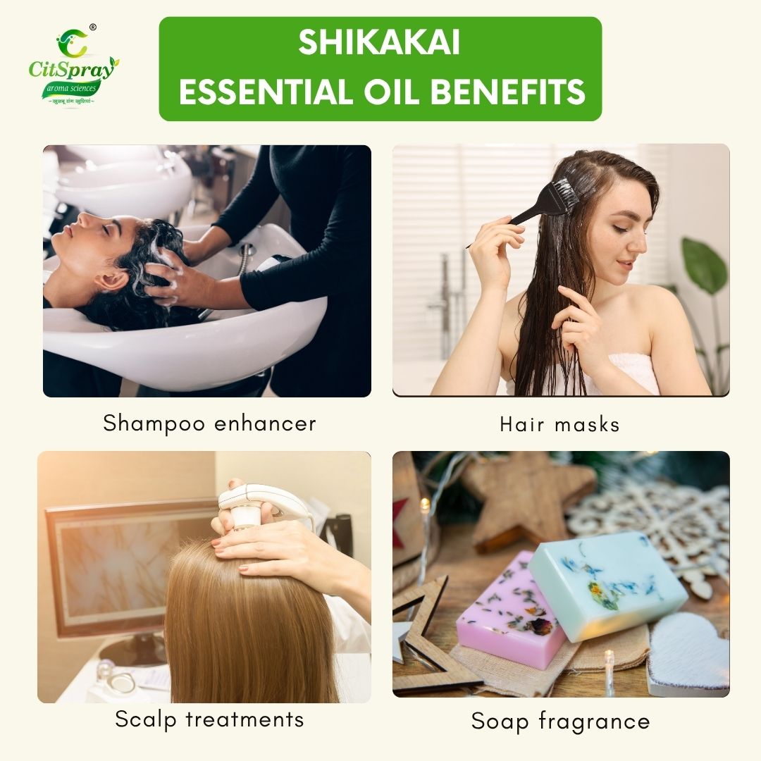 Shikakai Essential Oil – Hair Strengthening