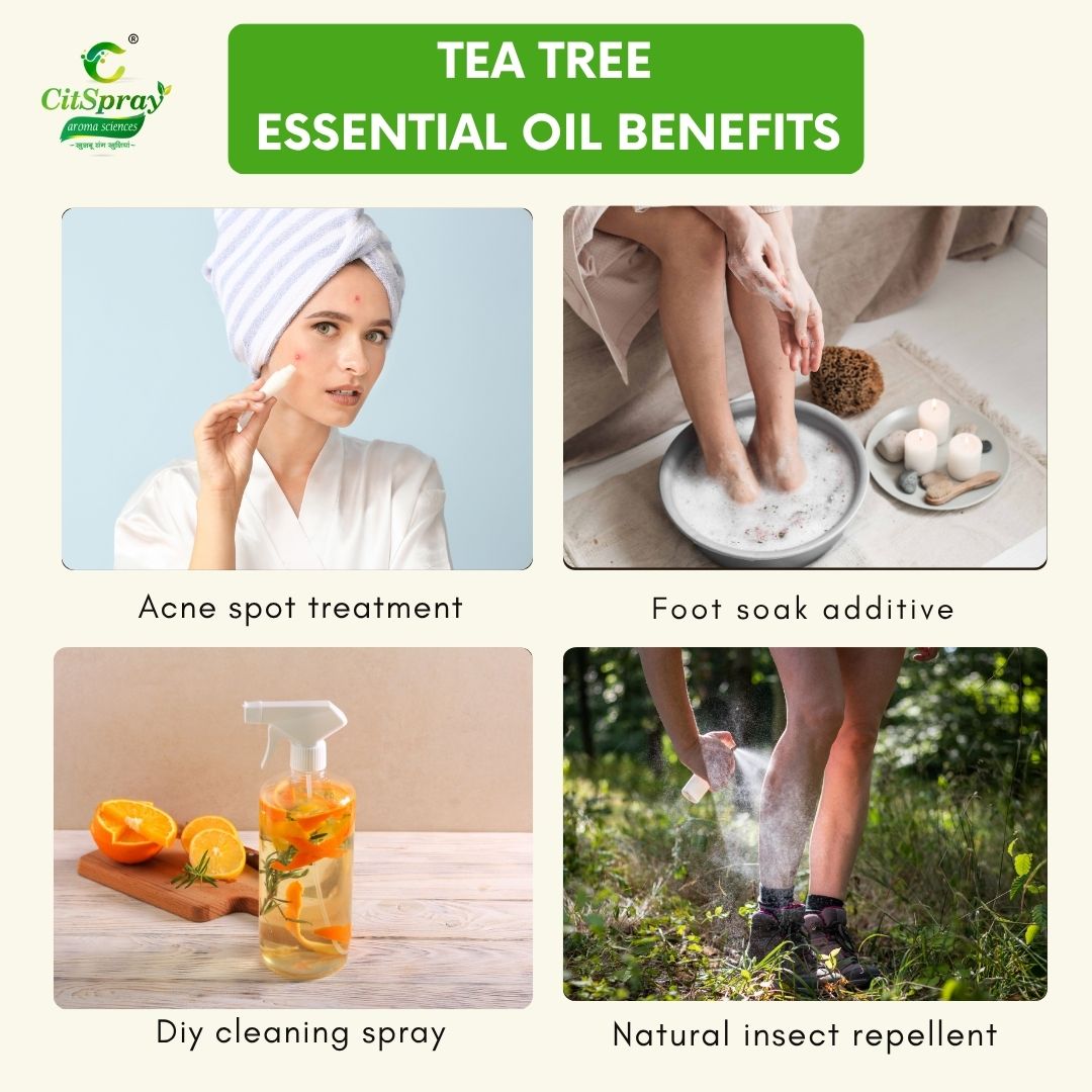 Tea tree Essential Oil – Skin Care