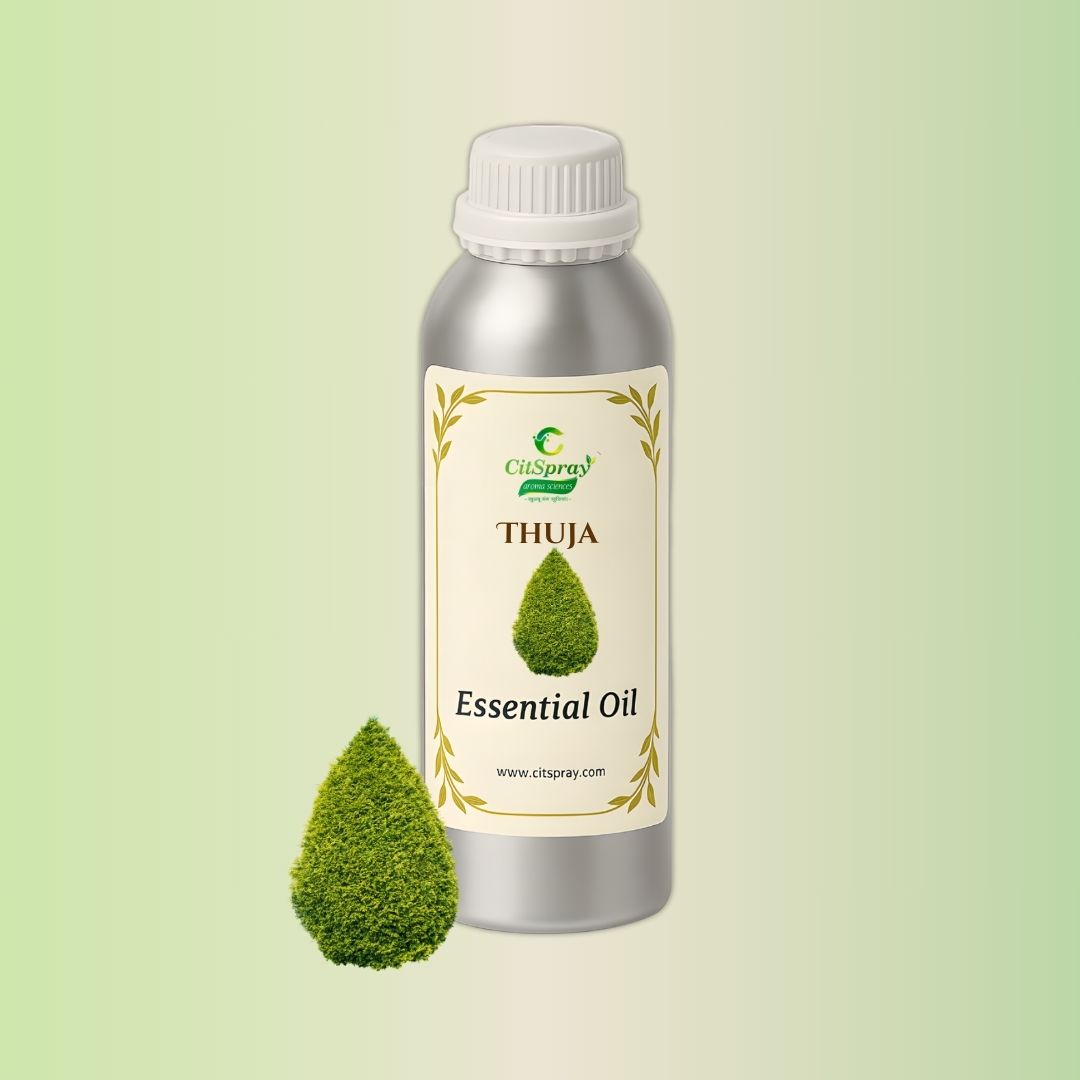 Thuja Essential Oil in aluminum bottle, CitSpray. Natural botanical product.