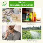 Thuja Essential Oil – Grounding Aroma