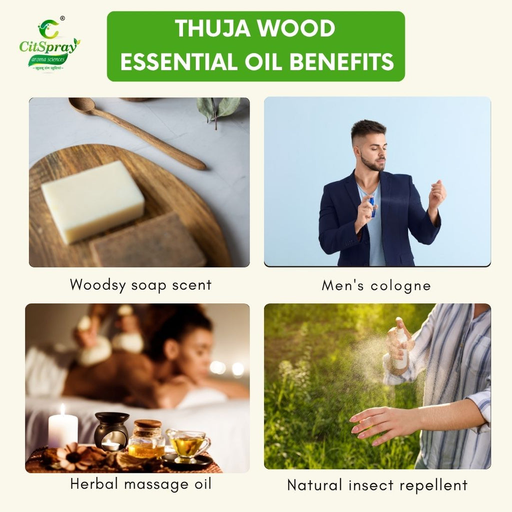 Thuja Wood Essential Oil – Grounding