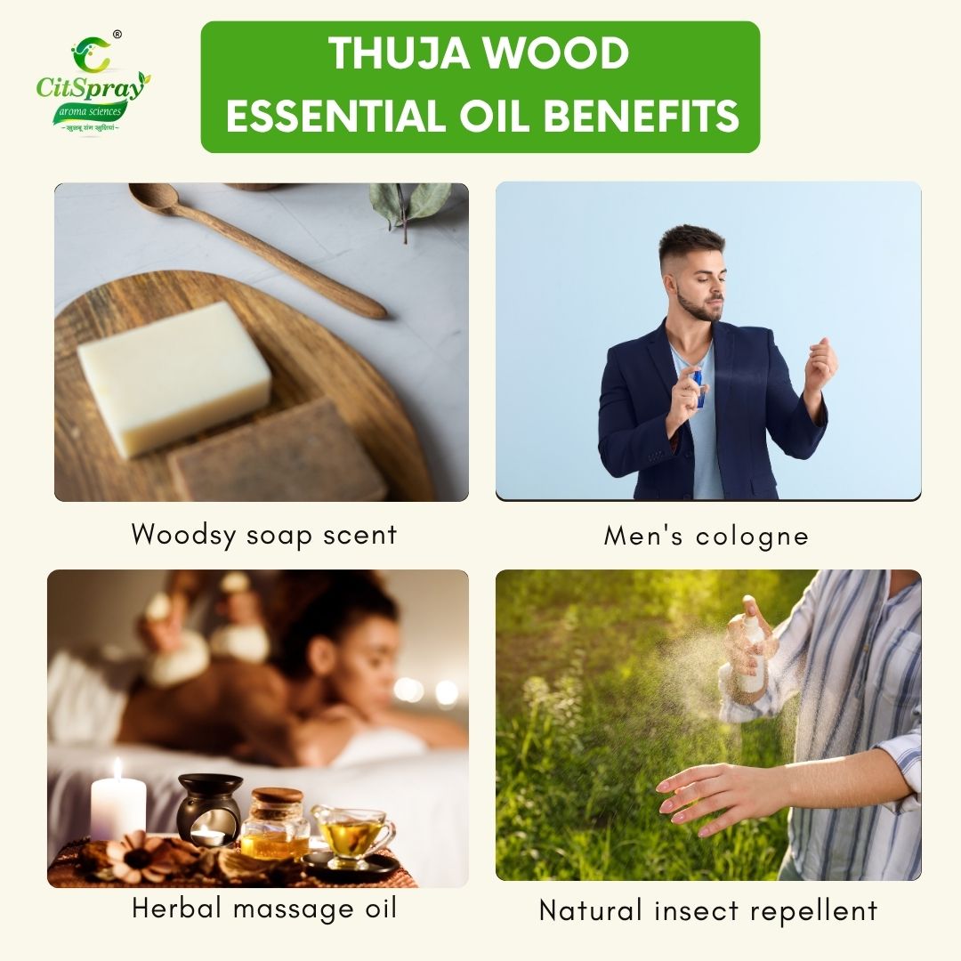 Thuja Wood Essential Oil – Grounding