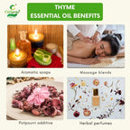Thyme Essential Oil – Immune Support