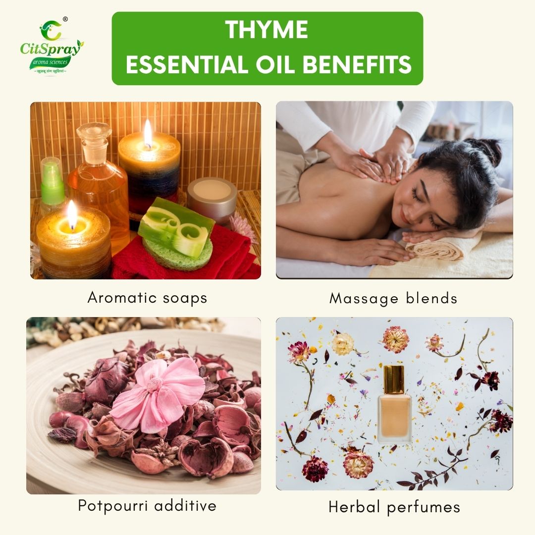 Thyme Essential Oil – Immune Support