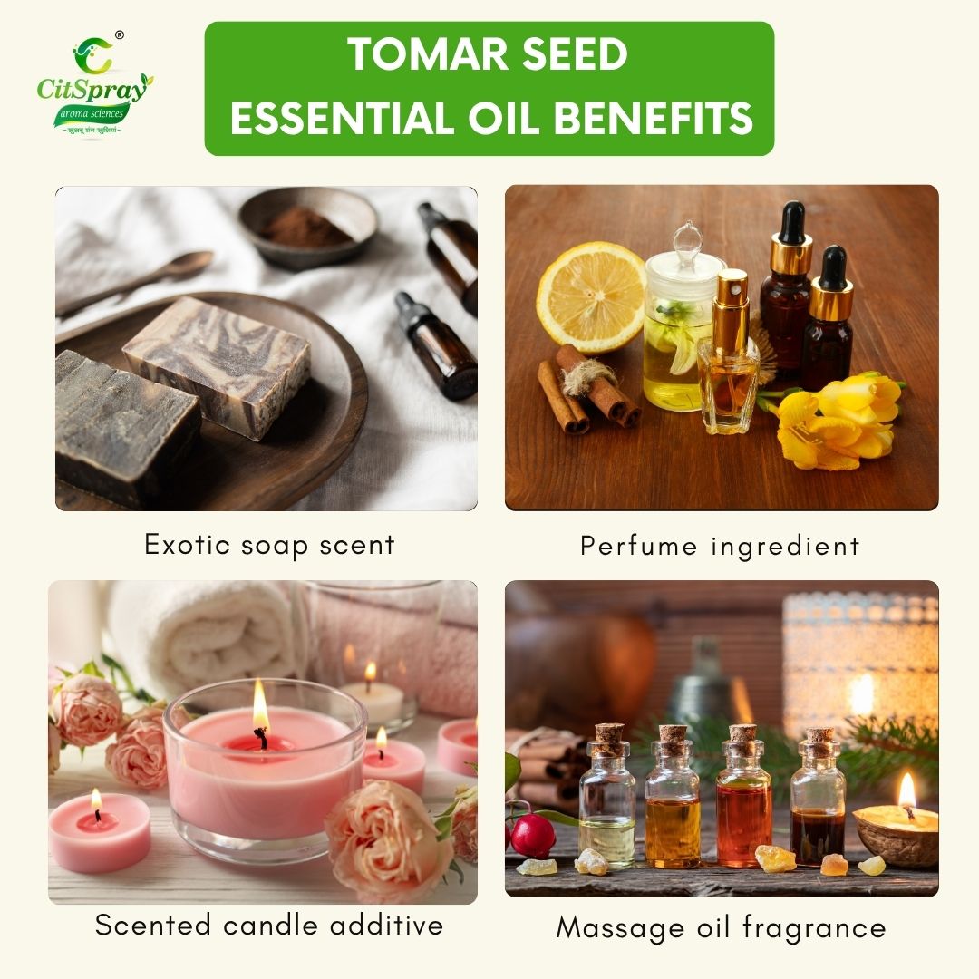 Tomar seed Essential Oil – Digestive Support