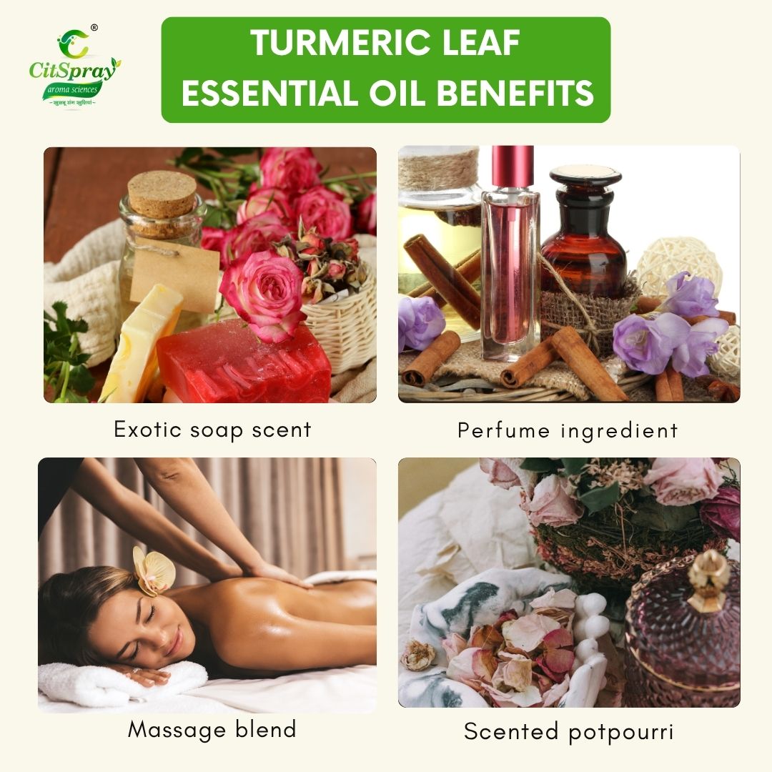 Turmeric leaf Essential Oil – Joint Support