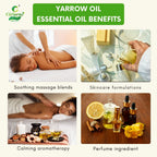 Yarrow Essential Oil – Skin Healing