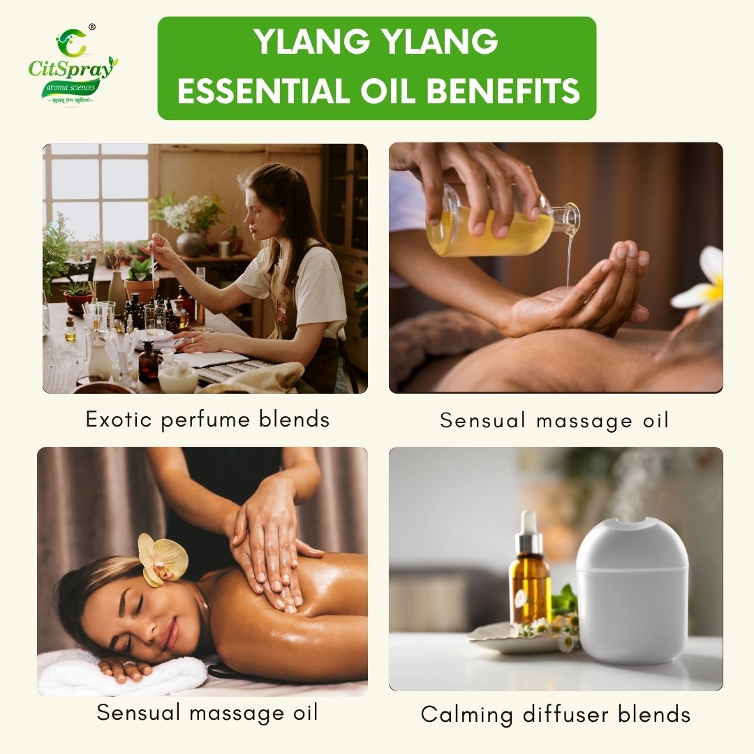 Ylang Ylang Essential Oil – Sensual Aroma